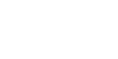 Logo Consulta Carga